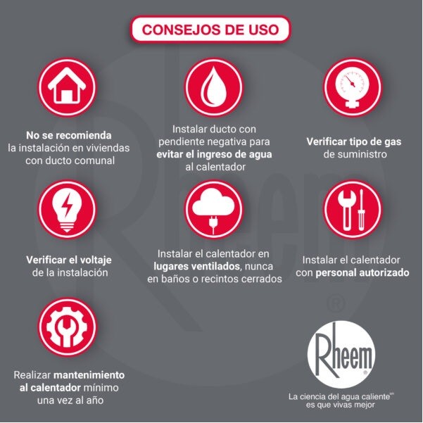 Calentador 10 Ltrs de paso Rheem Tiro Forzado